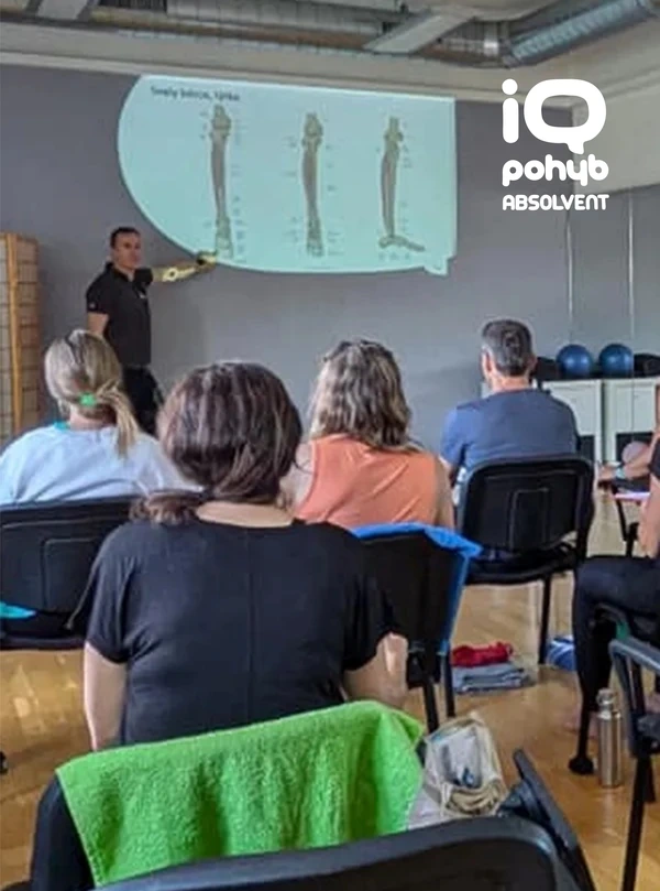 iq pohyb absolvent o mně vzdělání